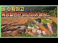 Download Lagu 정말 이런 건 상상도 못했습니다... 충격의 비단잉어