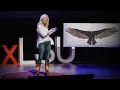 Download Lagu How vultures can help solve crimes | Lauren Pharr