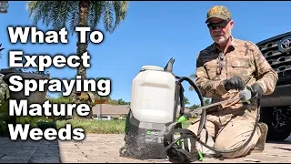 Warm Season Grass Weed Control How-To October 2026