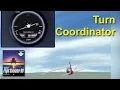 Flight Simulator 98 Training Turn Coordinator