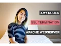 APACHE PART 2 WEBSERVER WITH SSL TERMINATION Amy Codes