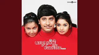 figaru sugarum