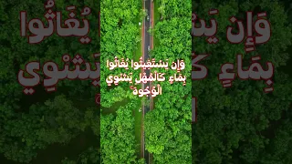 و ق ل ال ح ق م ن ر ب ك م تلاوة تهز القلوب بصوت فارس عباد سورة الكهف  و ق ل ال ح ق م ن ر ب ك م تلاوة تهز القلوب بصوت فارس عباد سورة الكهف