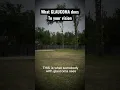 This is what glaucoma does to your vision