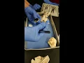 Sheep Eye Dissection