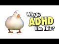 Common Traits of AD explained by ducks