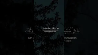 الحمدلله فاطر السموات والأرض جاعل الملأكه رسلا تلاوه خاشعه بصوت القارئ الشيخ ياسر الدوسري Quran 