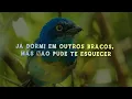 Zezé Di Camargo & Luciano - Diz Pro Meu Olhar (Lyrics/Letra)