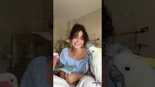 مين دا اللي نسيك تعرف لو قلبي بيتكلم نانسي عجرم مكاو عصافير جمال  مين دا اللي نسيك تعرف لو قلبي بيتكلم نانسي عجرم مكاو عصافير جمال