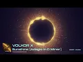 Volkor X  ░▒▓ Sunshine (Adagio in D Minor) ▓▒░ (Original by John Murphy)