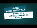 Linux Fundamentals Process Management in Linux