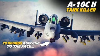 Download 70 Rounds A Second To The Face | MB339 Aermacchi Vs A-10 Warthog | Dogfight | MP3