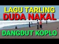 Download Lagu LAGU TARLING DUDA NAKAL DANGDUT KOPLO