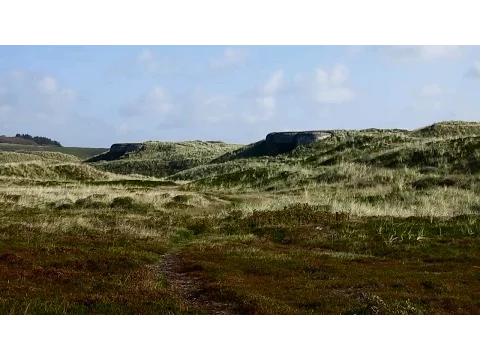 Abandoned Shelters - The Danish Bunker Coast