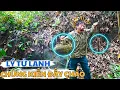 Download Lagu Lý Tử Lanh Đi Thăm Bẫy Sau Mưa và Kiếm Món Trừng Kiến Đầu Mùa