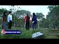Download Lagu TRAILER MERANGKAI KISAH INDAH HARI INI 11 SEPTEMBER 2025  - EPISODE 59 \u0026 60