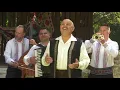 Download Lagu Nicu Novac -  Ăsta-i nana din Banat
