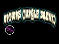 Lagu OPTIONS  - JUNGLE (Break) New 2021