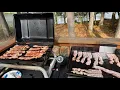 Camping with the Twins and Esmay 2024 at Pine Cradle Campground