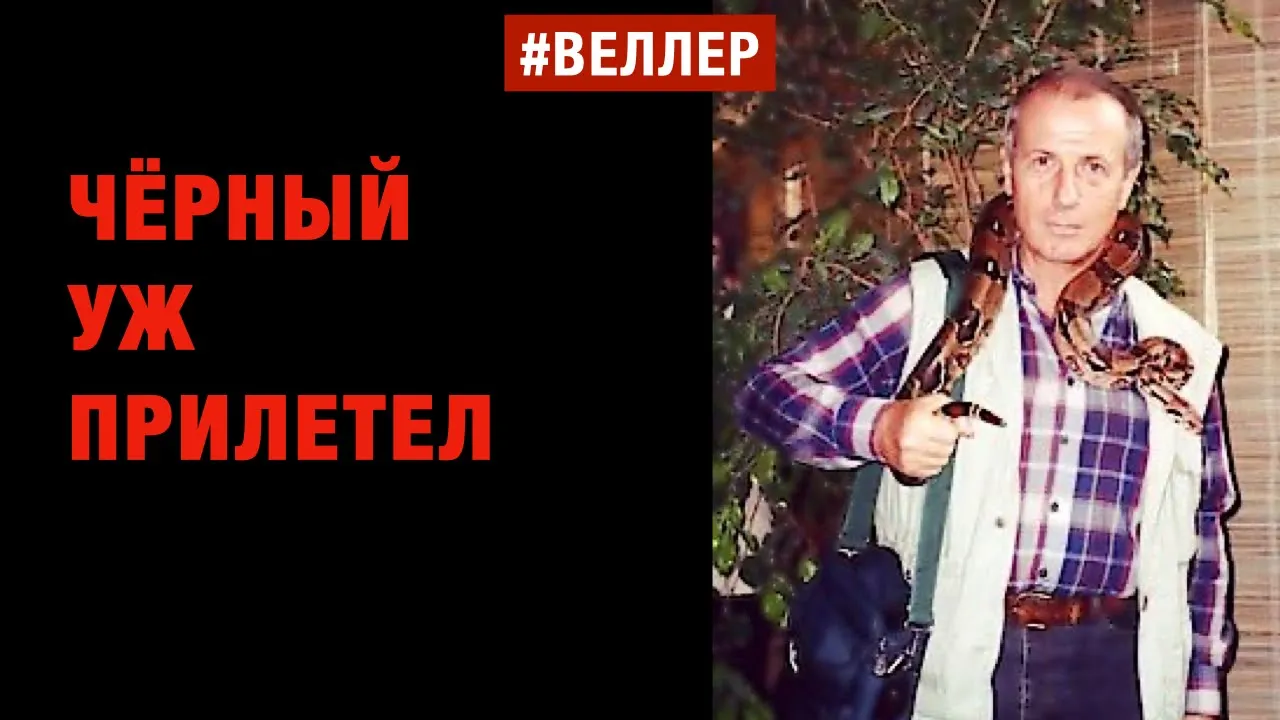 Веллер последние выступления 2025 на ютубе. Веллер последнее 2025.