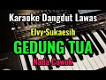 Download Lagu GEDUNG TUA - Elvy Sukaesih - Karaoke Dangdut Lawas // Nada Cowok