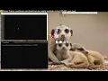 Demo Using com0com and hub4com to create multiple virtual RS485 com ports