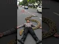 Download Lagu Fenomena Aneh Tapi Nyata, Seorang Polisi??