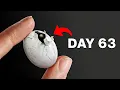 I Hatched a MYSTERY Reptile Egg