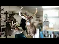 Create Muscle from Modeling Clay SUPER EASY WHITETAIL TAXIDERMY