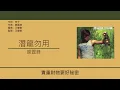 謝霆鋒 Nicholas Tse - 潛龍勿用 [歌詞同步/粵拼字幕][Jyutping Lyrics]