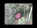 Acetylene Explosion