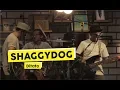 Download Lagu Shaggydog - Ditato (Live at THE BIG START BLIBLI.COM)