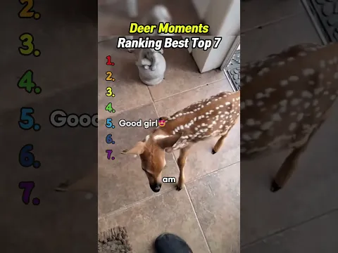 Don't check the sound😭😭