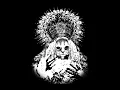 Download Lagu Mr.Kitty - Constellations (Acapella)