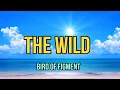 Lagu The Wild - Bird Of Figment (Lyrics Video)