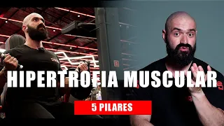 5 PILARES QUE GARANTEM HIPERTROFIA MUSCULAR