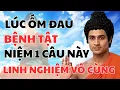 Download Lagu Phật dạy: Ốm đau bệnh tật, chỉ cần niệm câu này – Phật dạy ứng nghiệm đến kỳ lạ!