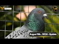 FPD UPDATE AUGUST 11th 2026