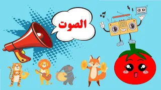 الصوت   معلومات عن الصوت  للأطفال   ما هو الصوت   مصادر الصوت   علوم للأطفال   فوائد الصوت دندنها