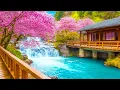 Download Lagu Healing music for the heart and blood vessels 🌿 calms the nervous system and pleases the soul, Gent