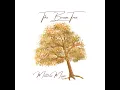 The Brown Tree - Matthew Mayer
