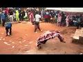 Download Lagu ESAN OYEEE!!! The Best of Esan Acrobatic/ 2025 Igbabonelimhin Dance.Please subscribed to my channel