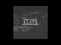 jaiden stylez- Alive (Kertscher Remix)
