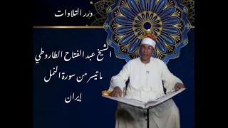 الشيخ عبدالفتاح علي الطاروطي ما تيسر من سورة النمل إيران  الشيخ عبدالفتاح علي الطاروطي ما تيسر من سورة النمل إيران