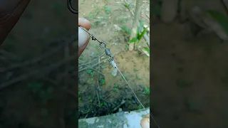 Strongest Fishing Knot For Swivel Fishing Fishingknot Swivel Tutorial Tips 