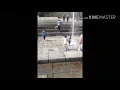 Laughing GIFs - Try not to laugh