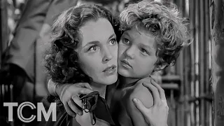the making of tarzan clip secrets of the hollywood archive tcm