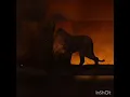 Download Lagu The Lion King 2019 Scar vs Simba [ Swedish / Svenska ] ( Audio Only )