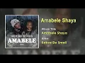 Kabza De Small FT Leehleza - Amabele Shaya Song - South Africa Mp3 Song Download