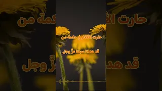 من لامية ابن الوردي بصوت أسامة الواعظ الحقوق محفوظة لاستديو القمة على يوتيوب 